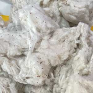 Cotton Card Fly 300x300