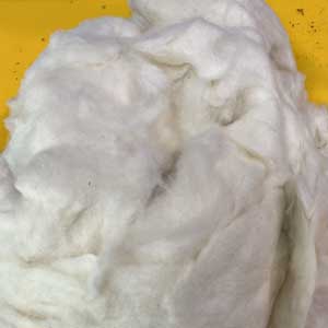 Cotton Lycra Shoddy 300x300